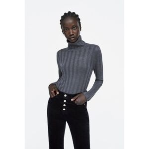 ZARA // classic-chic semi-sheer rib knit long sleeved turtle neck sweater top